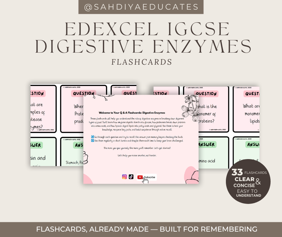 Digital File- Edexcel IGCSE Digestive enzymes- Flashcards