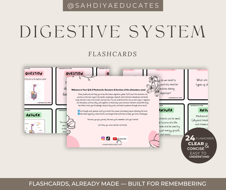 Digital File- Flashcards AQA GCSE Combined Science: Trilogy (8464) Digestive system