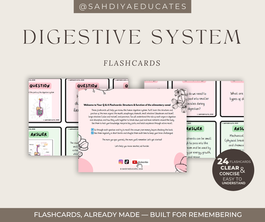 Digital File- Flashcards AQA GCSE Combined Science: Trilogy (8464) Digestive system
