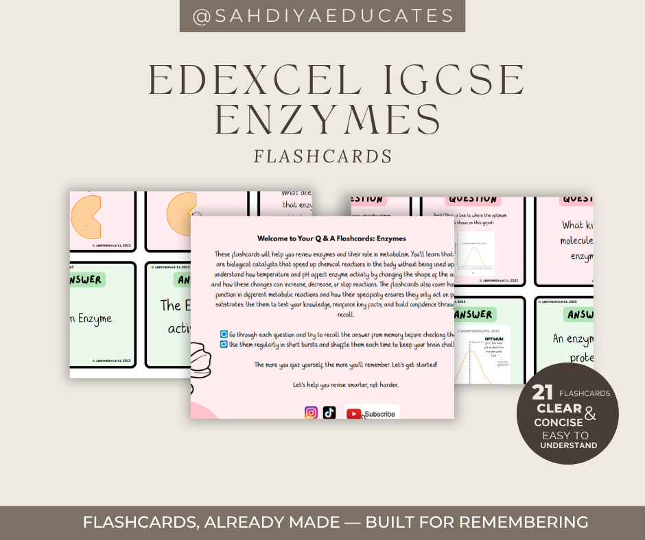 Digital file- Edexcel IGCSE Enzymes Flashcards