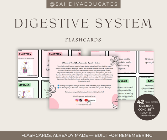 Digital file- Flashcards Y7/8 - Digestive system