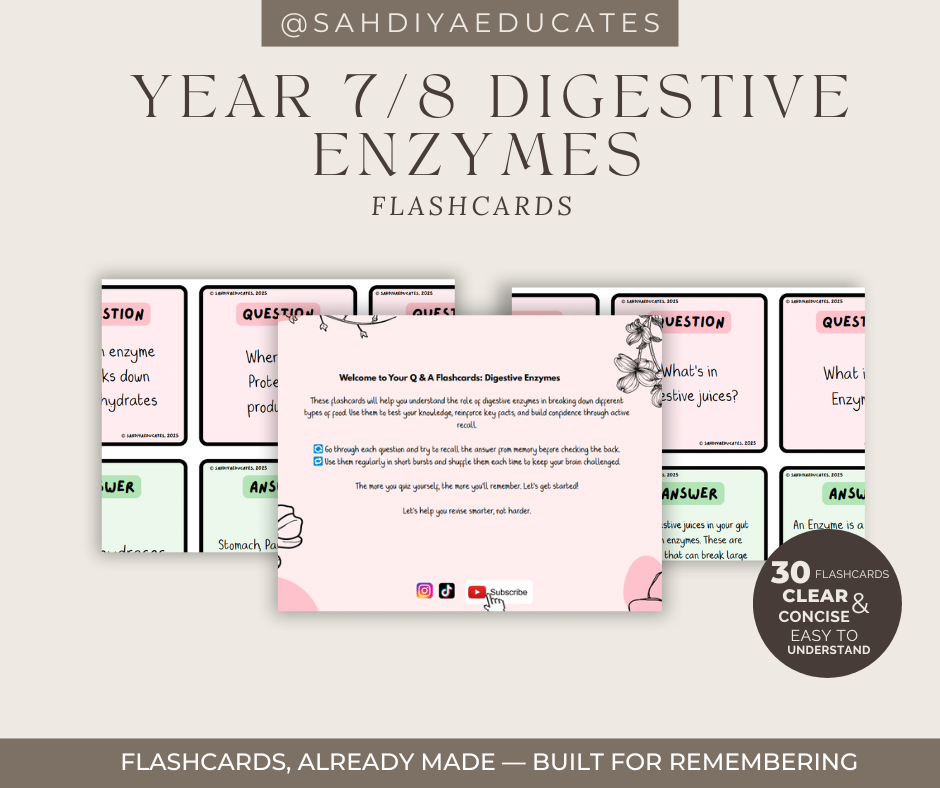 Digital file- Flashcards Y7/8- Digestive Enzymes