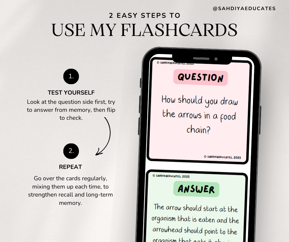 Year 7/8 Flashcards- Digital file - Food chains and Food webs