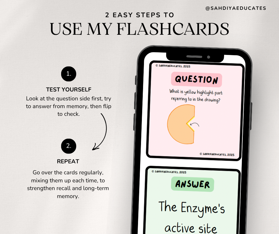 Digital file- Edexcel IGCSE Enzymes Flashcards