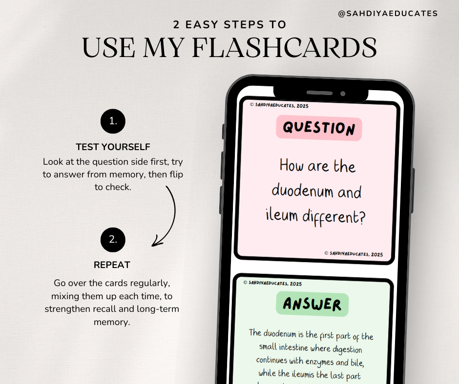 Digital File- Flashcards AQA GCSE Combined Science: Trilogy (8464) Digestive system