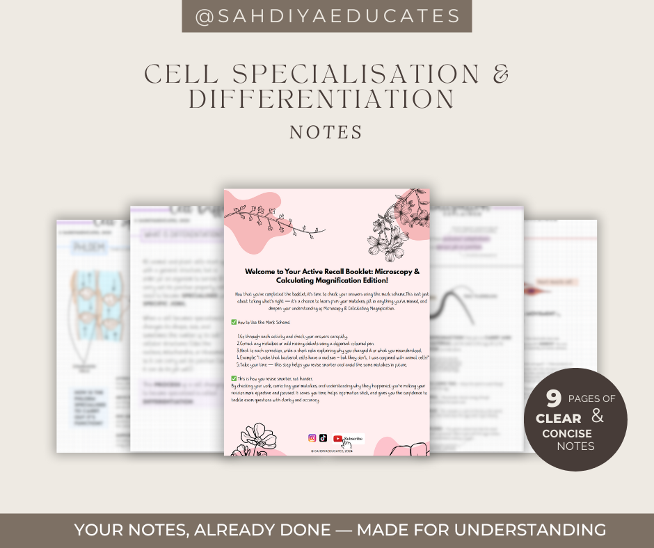 Digital file -Notes: AQA GCSE Combined Science: Trilogy (8464) Cell Specialisation & Differentiation
