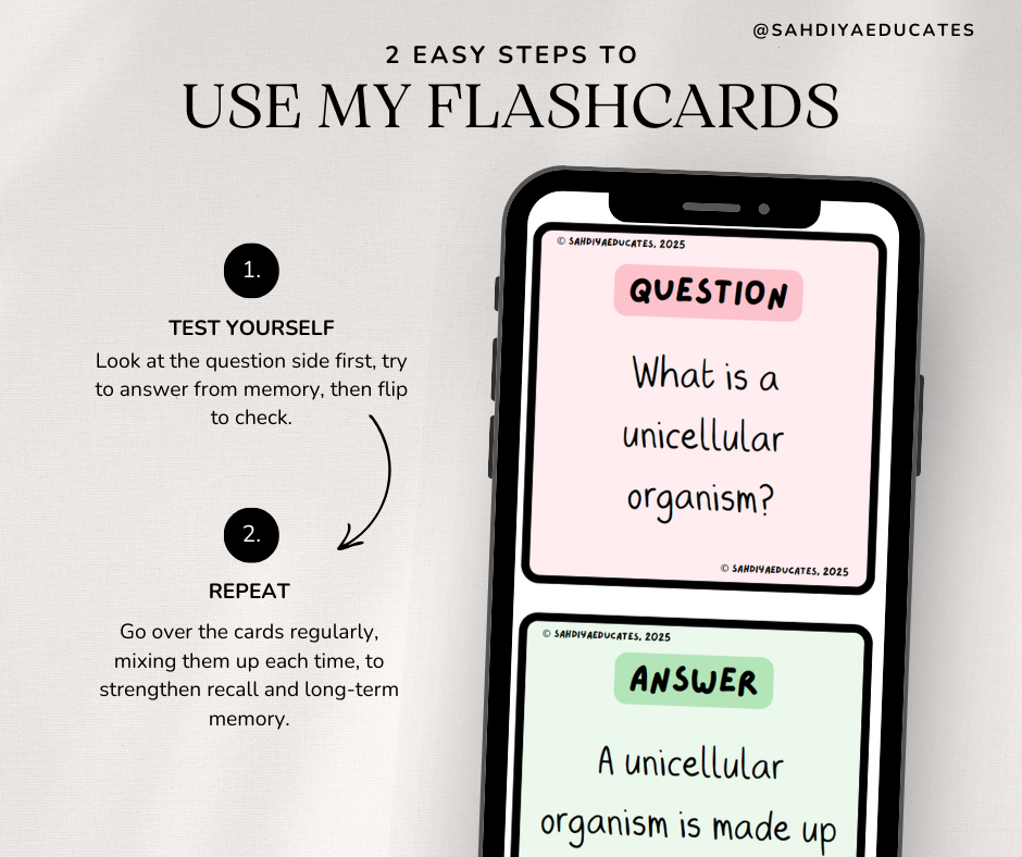 Digital file- Year 7/8 - Photosynthesis flashcards