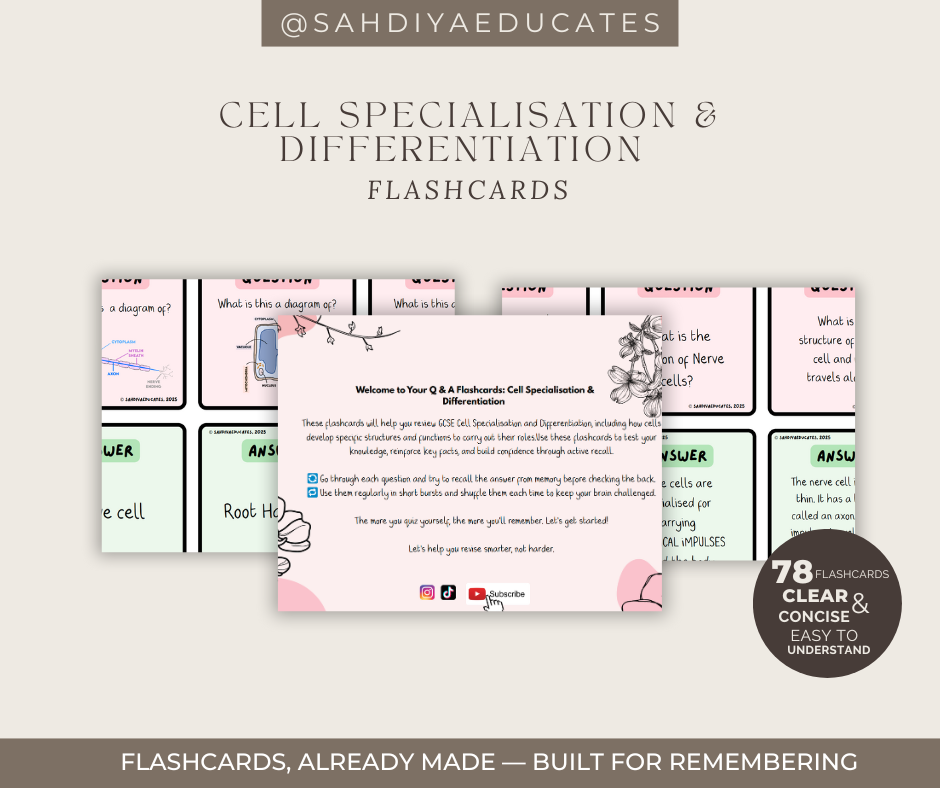 Digital file -Flashcards: AQA GCSE Combined Science: Trilogy (8464) Cell Specialisation & Differentiation