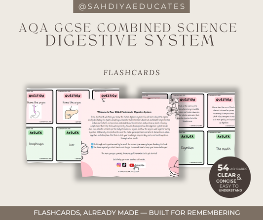 Digital File- Flashcards AQA GCSE Combined Science: Trilogy (8464) Digestive system
