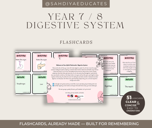 Digital file- Flashcards Y7/8 - Digestive system