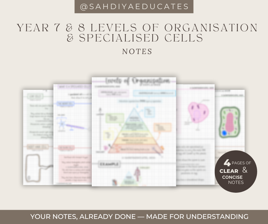Digital file -Notes: Year 7 & 8- Levels of Organisation and Specialised Cells