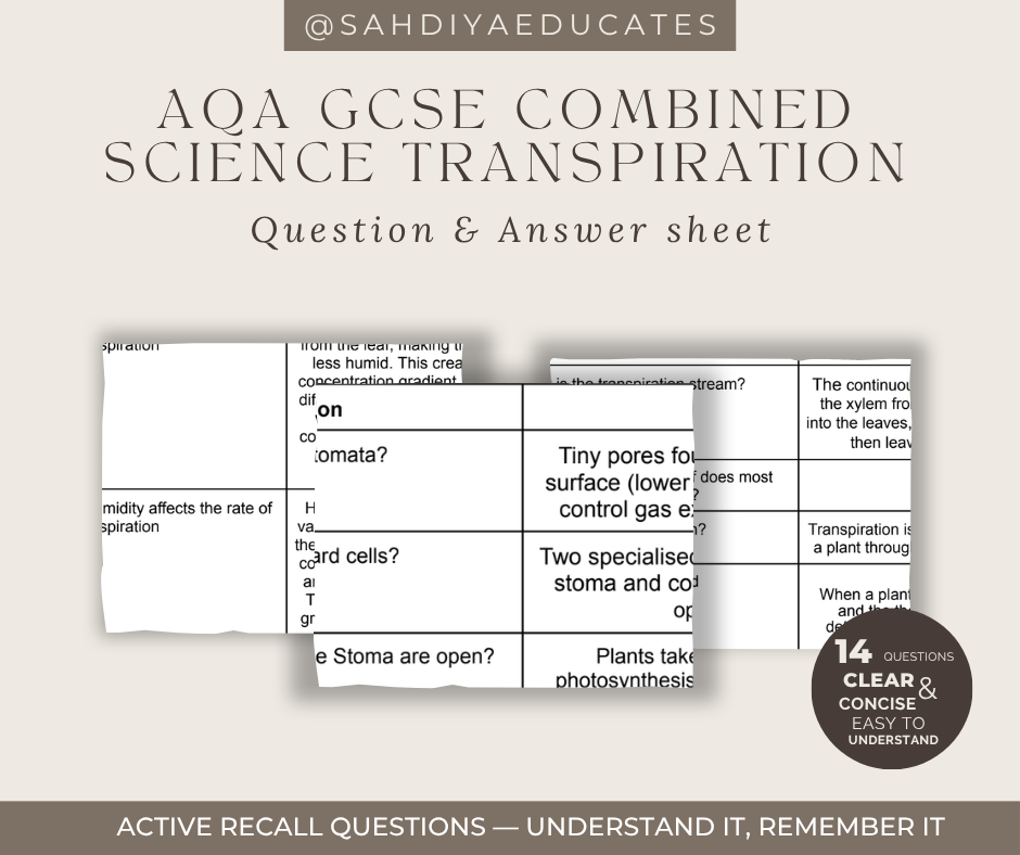 Digital file- Question & Answer sheet - AQA GCSE Combined Science - Transpiration  and factors affecting transpiration