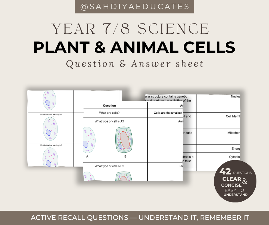 Digital file- Question & Answer sheet - Year 7/8 Plant and Animal Cells