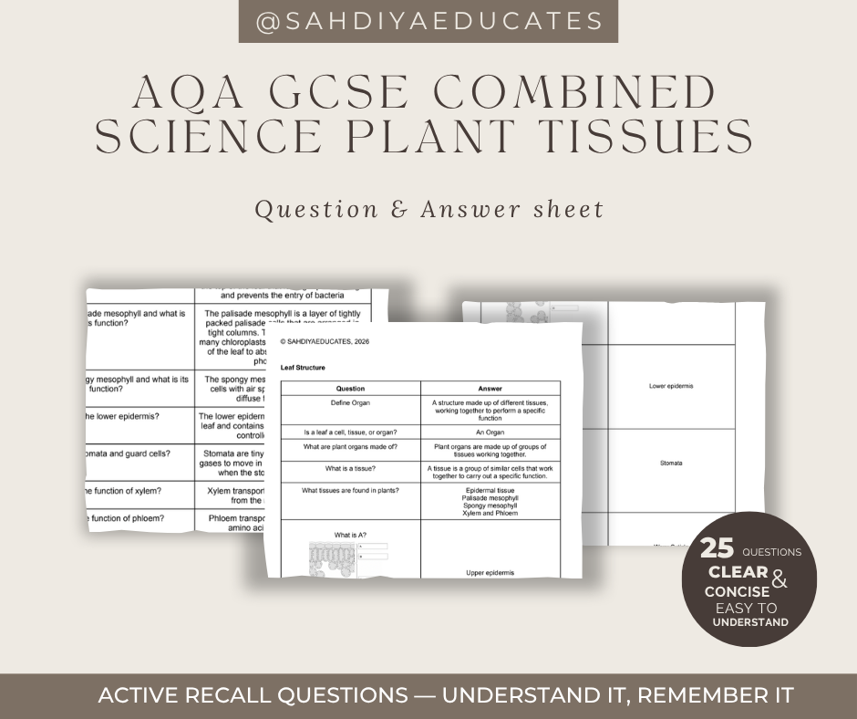 Digital file- Question & Answer sheet - AQA GCSE Combined Science - Plant tissues