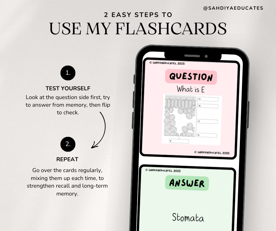 Flashcards- Digital File- AQA GCSE Combined Science- Leaf structure