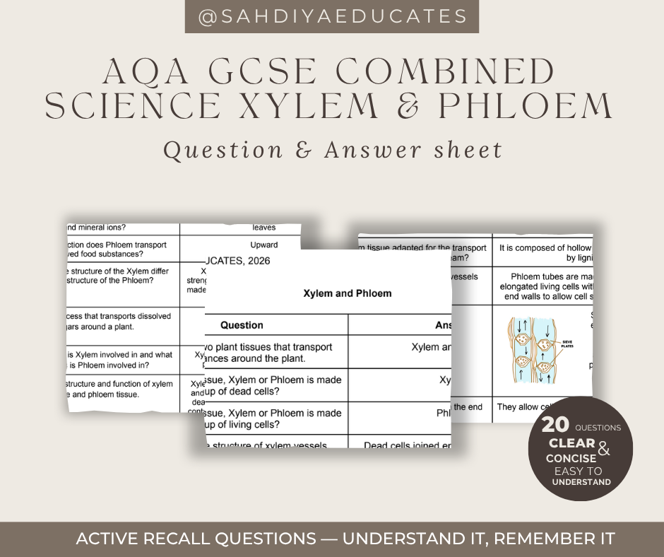 Digital file- Question & Answer sheet - AQA GCSE Combined Science - Xylem and Phloem