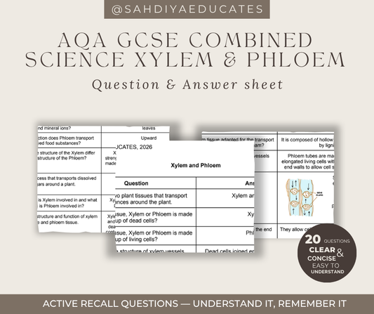 Digital file- Question & Answer sheet - AQA GCSE Combined Science - Xylem and Phloem