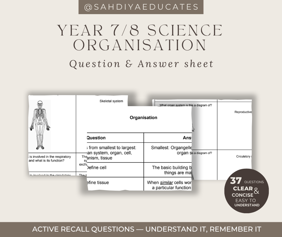 Digital file- Question & Answer sheet - Year 7/8 Organisation