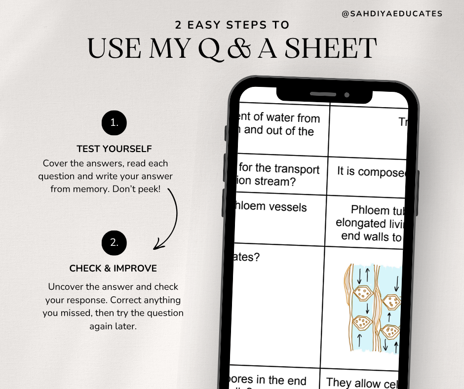 Digital file- Question & Answer sheet - AQA GCSE Combined Science - Xylem and Phloem