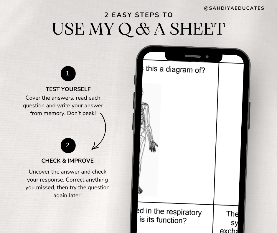 Digital file- Question & Answer sheet - Year 7/8 Organisation