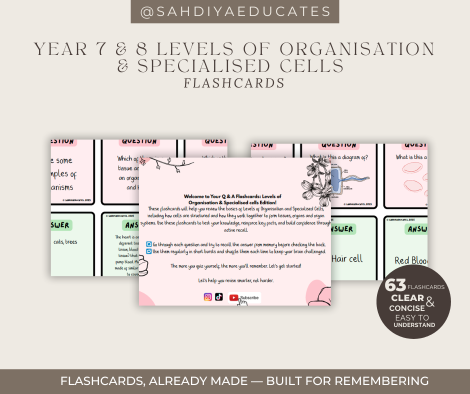 Digital file -Flashcards: Year 7 & 8 Levels of Organisation & Specialised cells