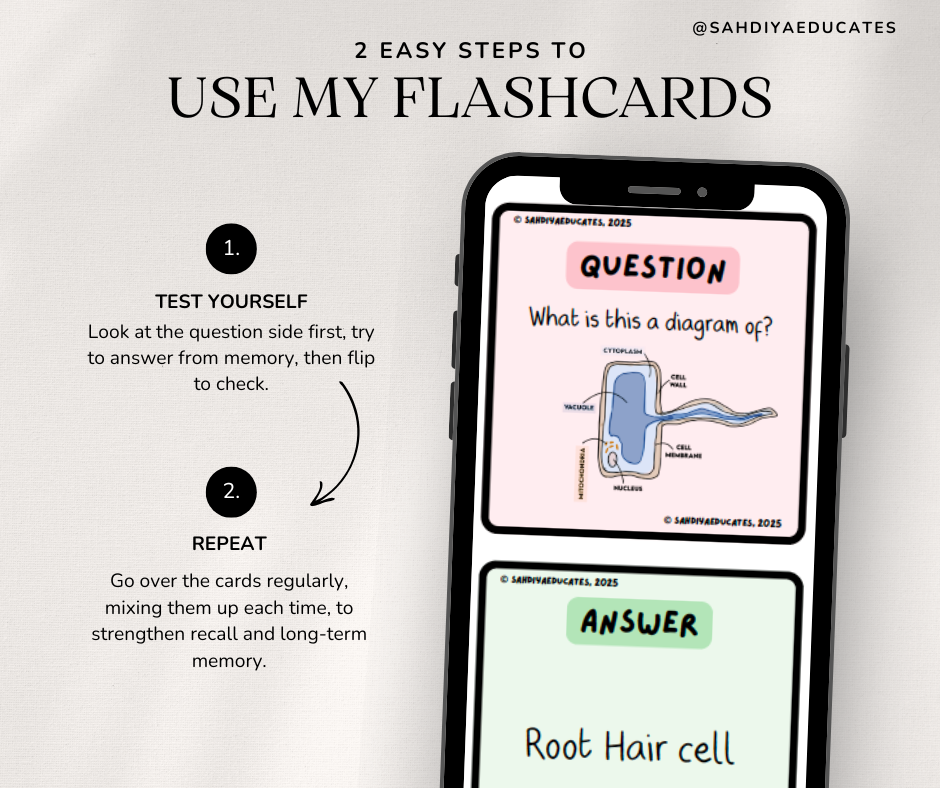 Digital file -Flashcards: Year 7 & 8 Levels of Organisation & Specialised cells