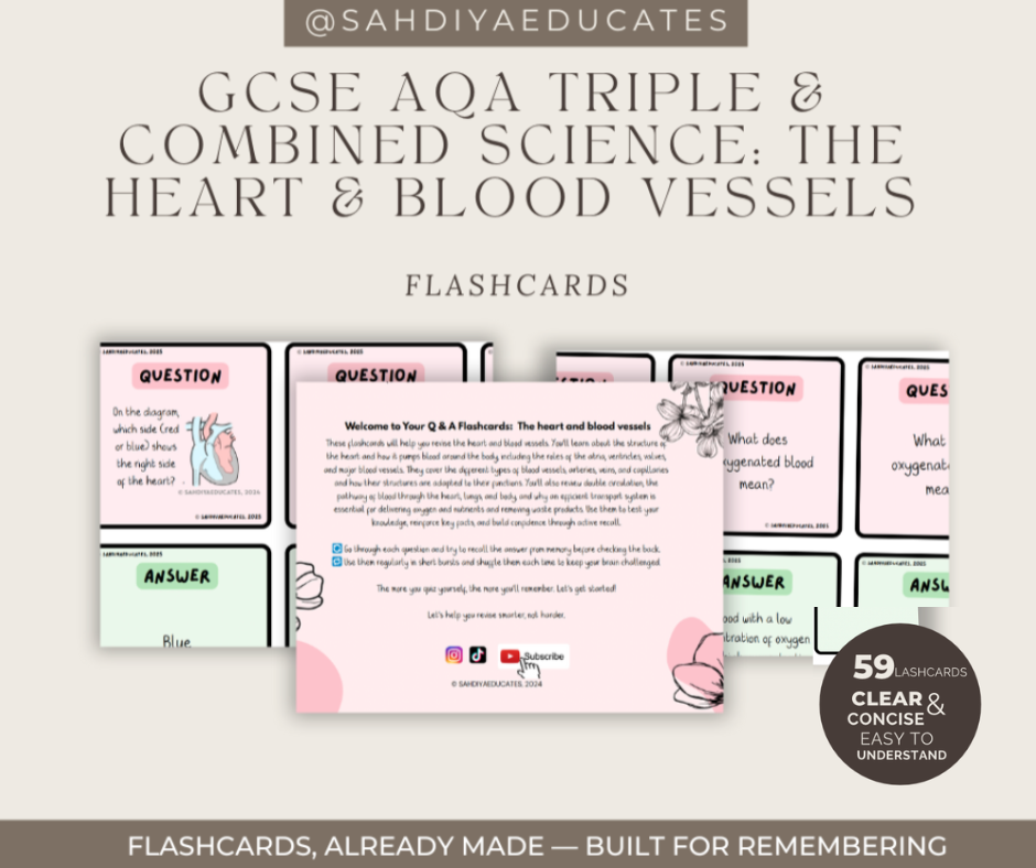 Digital File- Flashcards AQA GCSE Combined & Triple Science: The Heart & blood vessels